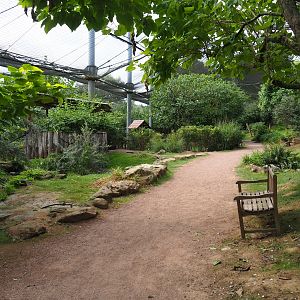 View in large aviary (Aug 28th, 2018)