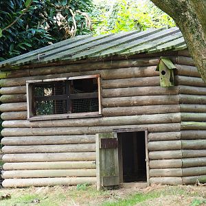 Pretty ramshackle bird shack (Aug 28th, 2018)