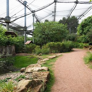 View in large aviary (Aug 28th, 2018)