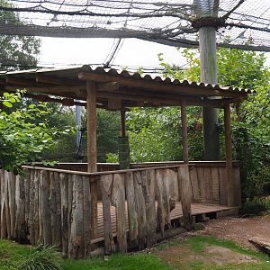 Ramshackle bird viewing shack (Aug 28th, 2018)