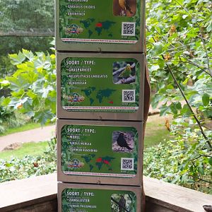 Large aviary signs - Small birds (Aug 28th, 2018)