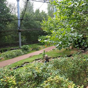 View in large aviary (Aug 28th, 2018)