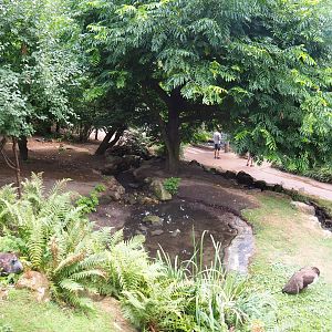 View in large aviary (Aug 28th, 2018)