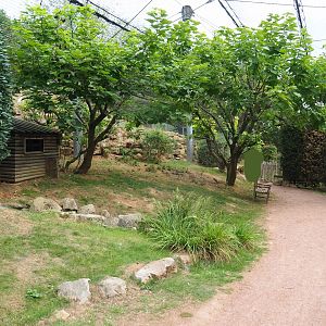 View in large aviary (Aug 28th, 2018)