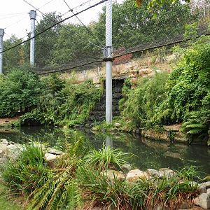 Pool in large aviary (Aug 28th, 2018)
