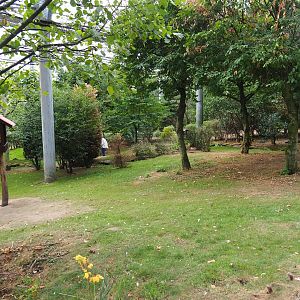 View in large aviary (Aug 28th, 2018)