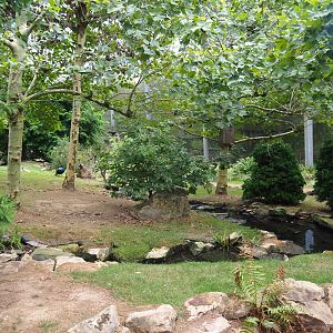 View in large aviary (Aug 28th, 2018)