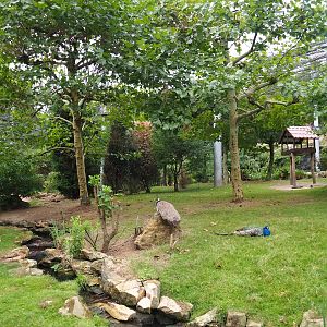 View in large aviary (Aug 28th, 2018)