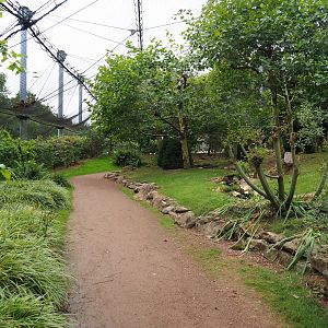 View in large aviary (Aug 28th, 2018)