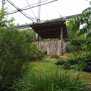 View in large aviary (Aug 28th, 2018)