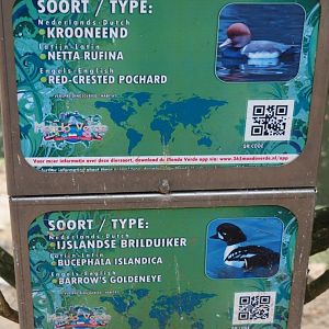 Duck signs (Aug 28th, 2018)