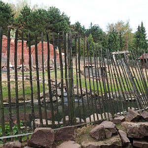RIckety fencing and stinky pool in the "Australian" exhibit (Aug 28th, 2018)
