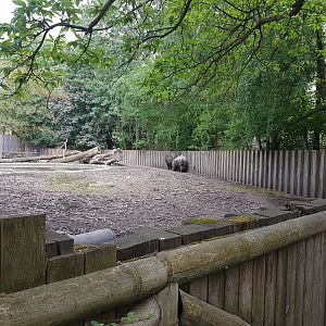 Greater Indian rhinoceros enclosure