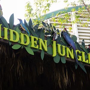 Butterfly exhibit open through May 12, 2019