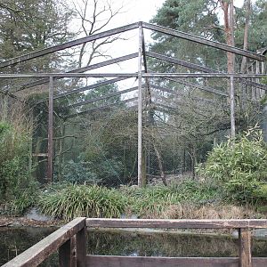 Aviary next to the Uhu-burg (24/3-19)