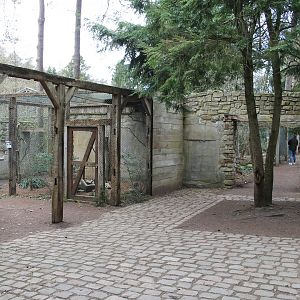 Aviaries "inside" the Uhu-burg (24/3-19)