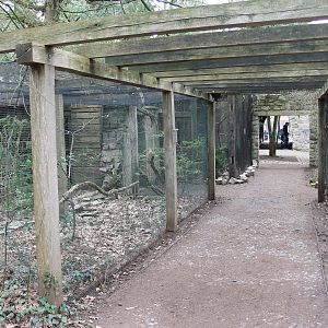 Aviaries "inside" the Uhu-burg (24/3-19)