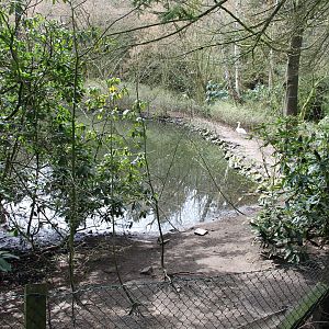 One of the bigger lakes (24/3-19)