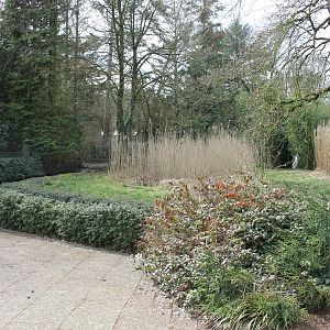 Shoebill enclosure (24/3-19)