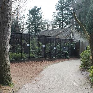 Bird-of-paradise aviaries (24/3-19)