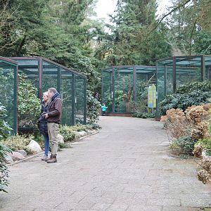 Aviaries along the beginning of the "Rundgang-Walkway" (24/3-19)