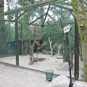 Aviary for Western capercaillie and Wood pigeons (24/3-19)