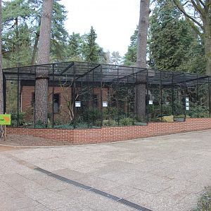 Aviaries in front of the Kiwi house (24/3-19)