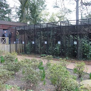 Aviaries and the entrance to the Kiwi house (24/3-19)