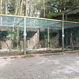 Aviary for male Western capercaillies (24/3-19)