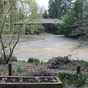 Empty enclosure for Great flamingos (24/3-19)