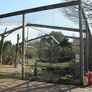 Aviary for different kinds of gulls, ibis and spoonbills (24/3-19)
