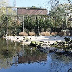 Aviary for different kinds of waterbirds (24/3-19)