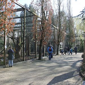 Aviaries for predator birds (24/3-19)