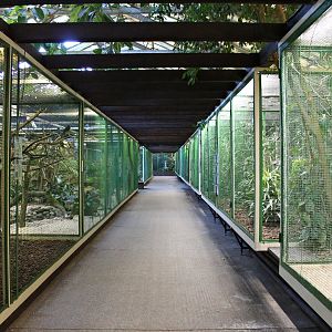 Aviaries in the "Paradies-halle" (24/3-19)