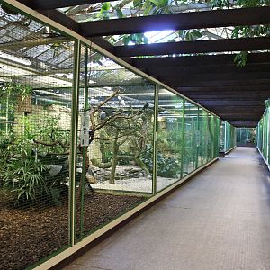 Aviaries in the "Paradies-halle" (24/3-19)