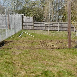 Ground works opposite Tayra enclosure