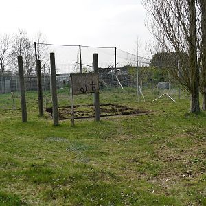 Ground works opposite Tayra enclosure