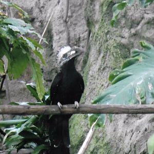 Can somebody identify