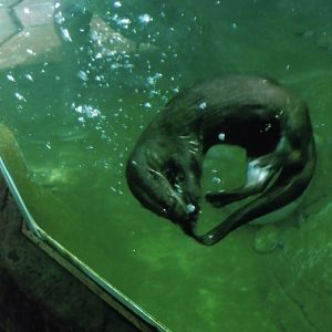 Can somebody identify