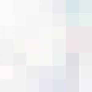 Tasmanian Golden Possum