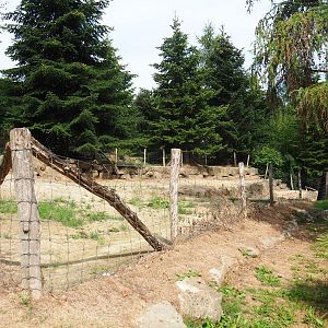 Paddock with unknown inhabitants (Aug 28th, 2018)