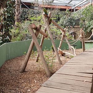 Enclosure Military macaw Bamboo Hall