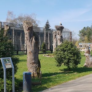 Verreaux eagle and Steller's sea-eagle aviaries