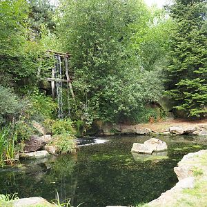 Pool with waterfall (Aug 28th, 2018)