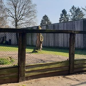 Ostrich-enclosure
