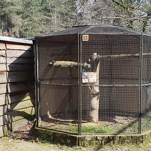 Empty aviary ( was Red-bellied parrot )