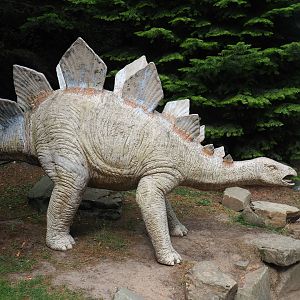 Ratty plastic Stegosaurus (Aug 28th, 2018)