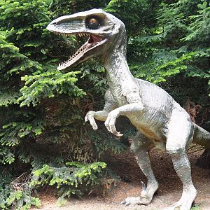 Pretty decrepit looking plastic Theropod/Dromaeosaurid dinosaur (Aug 28th, 2018)