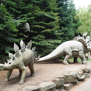 Pretty decrepit plastic dinosaurs (Aug 28th, 2018)