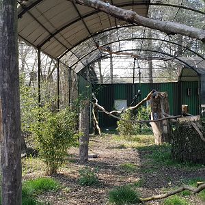 View into Grey parrot-aviary